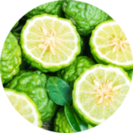 BERGAMOT