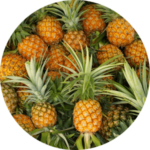 PINEAPPLE